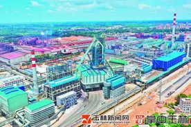 玉林倾力打造千亿元新材料产业集群图片
