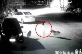 被狗撕咬小孩父亲发声：孩子脖子的伤深可见动脉，转院到济南做手术图片