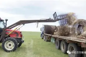 「中国改革报聚焦呼伦贝尔」“共享草场”新模式让牧区变了模样——内蒙古呼伦贝尔市践行习近平生态文明思想系列报道之五图片