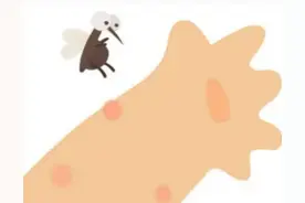 驱蚊止痒，选风油精还是清凉油？图片