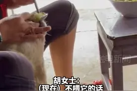 有一种饿叫奶奶觉得你饿！狗狗天热不爱吃饭，主人掰开嘴亲自喂饭图片