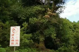 麻拉村的故事丨杨平原图片
