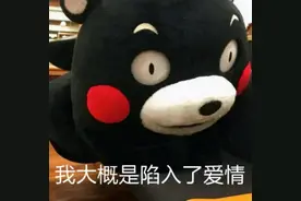 女子遭遇“杀猪盘”，半年后成功“反杀”图片
