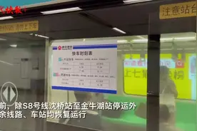 南京地铁S1、S7、S9号线恢复运行，探亲客流多图片