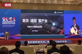 逾1955亿元计划投资额助力新疆丝绸之路经济带核心区建设视频封面