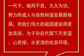 时习之 从一棵树到一片“海”习近平牵挂的塞罕坝带来怎样的启示图片