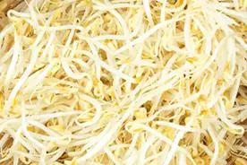 这种常见细菌性食物中毒会致命，出现发热、呕吐应及时就医图片