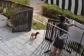 突降大雨屋主不在家，好心邻居帮忙收衣服！网友：远亲不如近邻图片