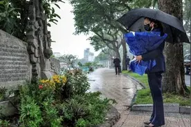 在越南，哈里斯闹出大乌龙图片