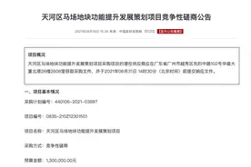 “店王”SKP将进驻广州马场地块图片