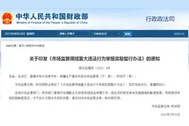 举报市场监管领域重大违法行为，奖励上限100万图片