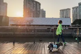 狗狗瘫痪了，我给它买了个漂亮的轮椅图片