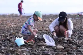 这就是山东｜走！去威海荣成赶海寻“鲜”感受初秋之季的清爽怡人图片