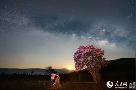 花开云南 艳惊世界：云南八大名花之杜鹃花图片