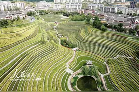 贵州大方：古镇梯田景如画图片