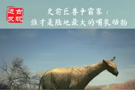 史前巨兽争霸赛：谁才是陆地最大哺乳动物？图片