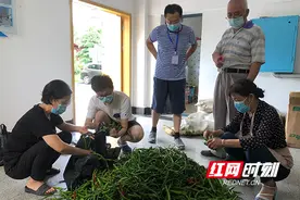 抗疫日记｜抗疫中不断成长的儿子图片