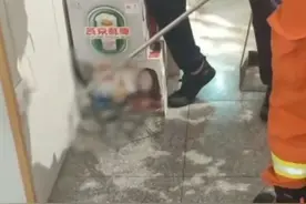 小心，蛇出没！河北一饭店惊现1米多长带花纹的黑蛇……图片