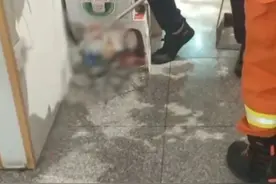 小心，蛇出没！河北一饭店惊现1米多长带花纹的黑蛇……图片