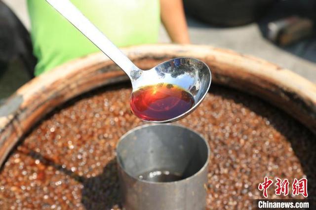 广州增城老土豉油：坚守古法酿造 不忘创新发展