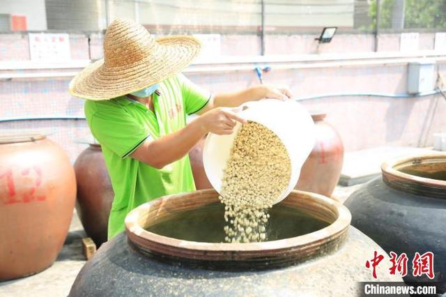 广州增城老土豉油：坚守古法酿造 不忘创新发展