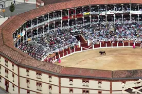 斗牛布下的争论：西班牙何为？图片