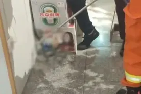 小心，蛇出没！河北一饭店惊现1米多长带花纹的黑蛇……图片