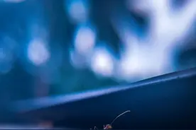 龙江夜读 | 蚂蚁们图片