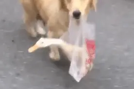 每日一笑，我疯起来连自己都打图片