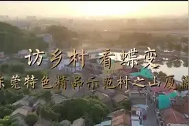 访乡村·看蝶变③|东莞山厦：“彩虹村”种下“田园梦”（附视频）图片