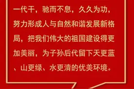从一棵树到一片“海”习近平牵挂的塞罕坝带来怎样的启示图片