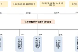 格林美子公司冲刺IPO：基金补贴占营收比重逐年提升，前五大供应商多为个人图片