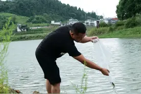 小康圆梦｜利用闲置湖泊养殖黄辣丁 四川古蔺大寨村依托绿色养殖净水富民图片