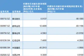 头部券商退步：中信建投上半年净利下滑，资管营收减少逾两成图片
