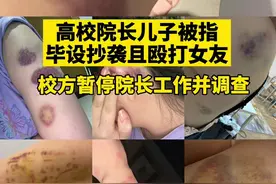 高校院长儿子被指毕设抄袭且殴打女友，校方暂停院长工作并调查图片