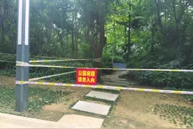 常去的公园 何时能再热闹起来？图片