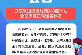 武汉：恢复运营、恢复开放图片