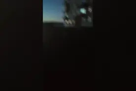 俄罗斯网友拍到“水母状”发光体从夜空中划过图片