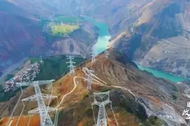 时政微解读丨把树种好，在今天意味着什么？视频封面