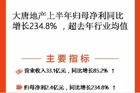 镁刻·中报速递｜大唐地产：上半年营业收入同比增长85.2%至33.1亿元图片