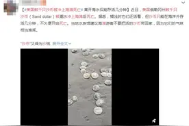数千只“沙币”被冲上海滩死亡！沙币究竟是个什么动物？有趣的知识点又增加了图片