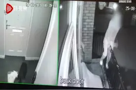 英国三劫匪入室抢劫 狗狗受伤后仍跑去卧室保护婴儿图片