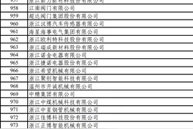 温州31家企业上榜国家专精特新“小巨人”图片