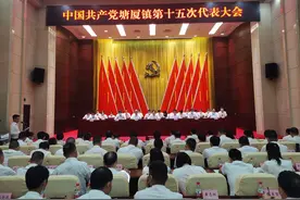 GDP迈入“700亿元”俱乐部，打造大湾区强镇！东莞塘厦未来五年将这样做图片