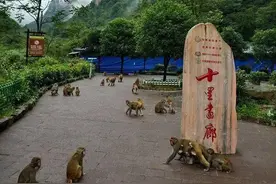 张家界三大景区8月27日恢复开放，所有A级景区半价惠游客图片