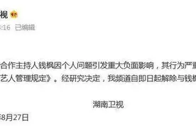 “小艺”身份成谜，湖南卫视解除与钱枫合作关系图片
