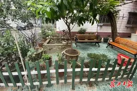 种花种草自己看，摆到一起大家看，这个小区把家花集中变成了“共享花园”图片