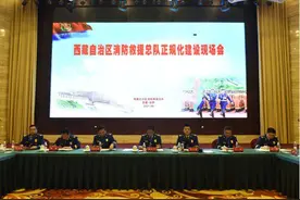 西藏召开消防救援队伍正规化建设现场会图片