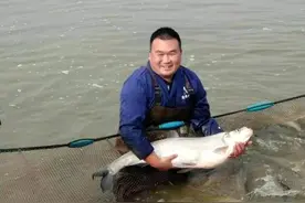 “老武汉”都爱吃的大白刁，价格不“刁”了图片