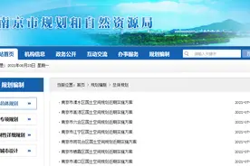 官方公布！南京将重点发展这些板块，涉及江宁、鼓楼、雨花...图片